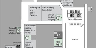 แผนที่ของเจ้าหญิงมาร์กาเร็ตเป็นมะเร็งศูนย์กลางโตรอนโต 3 ชั้น