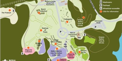 แผนที่ของ RBG Arboretum